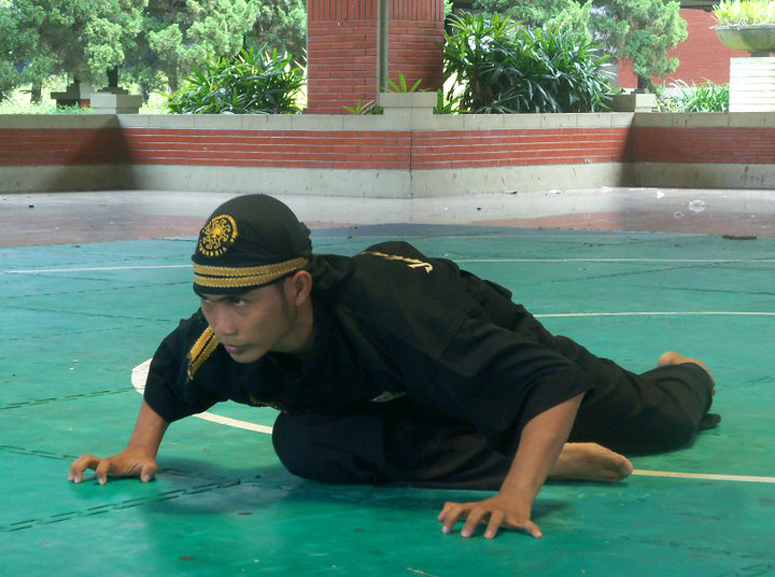 Harimau